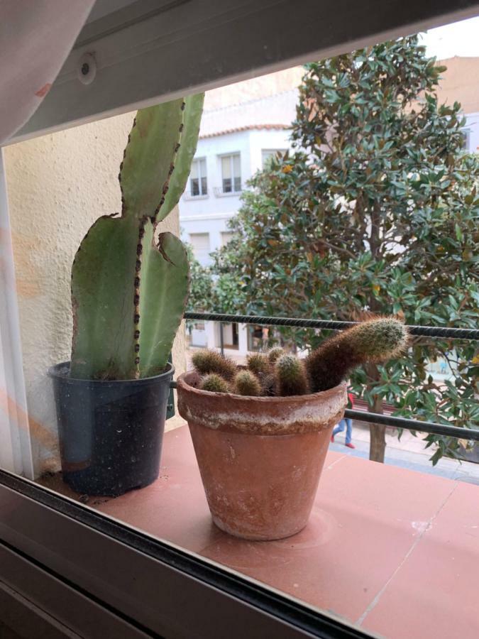 Apartamento Cambrilsfornia Leilighet Eksteriør bilde